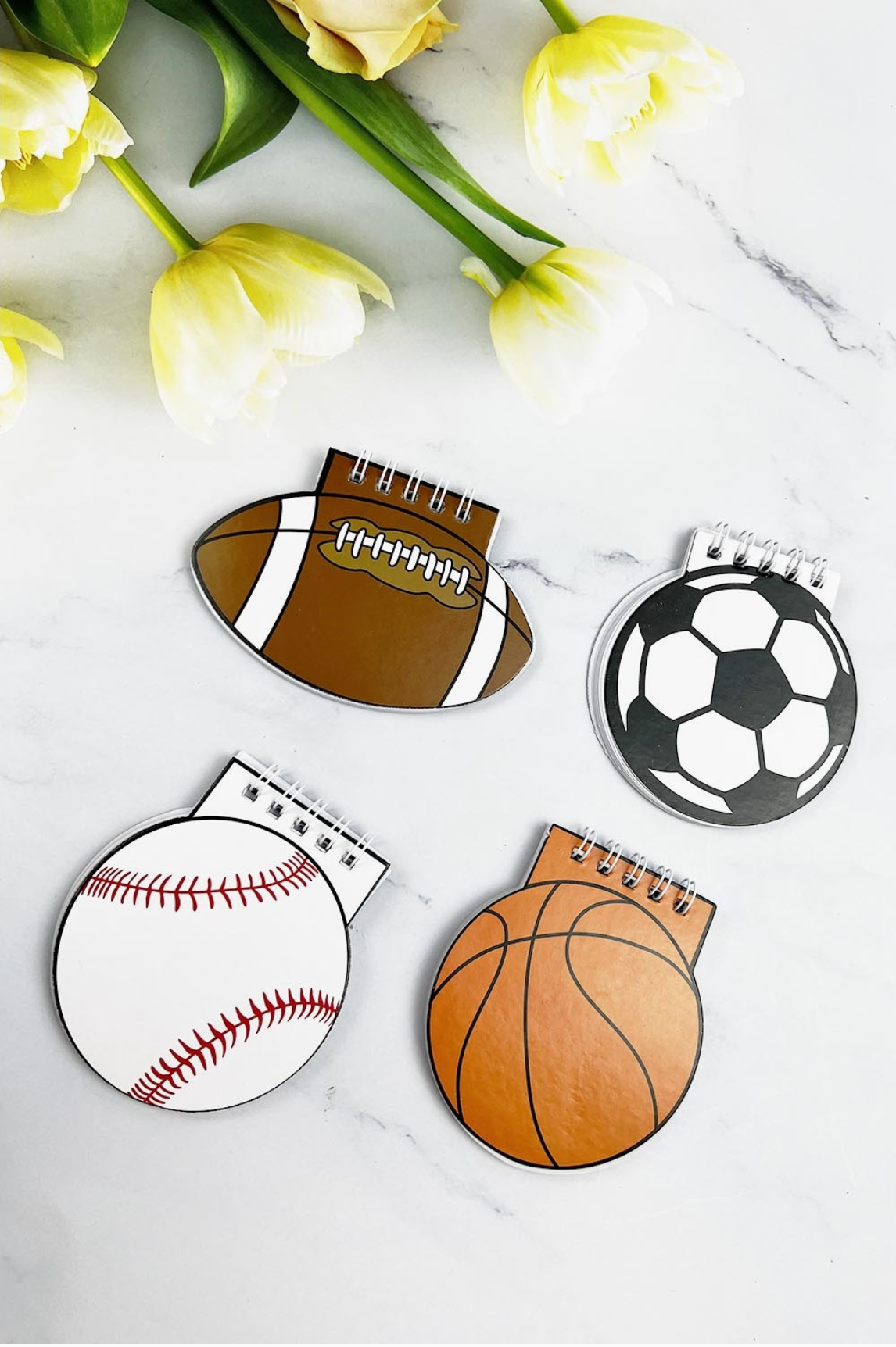 All-Star Sports Ball Mini Notebook